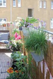 Bienenweide Auf Dem Balkon Anlegen Garten Fraulein Garten Dachgarten Pflanzen