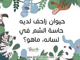 مسابقة اطفال سؤال وجواب بالصور بطاقات أسئلة عامة سهلة بالعربي نتعلم in 2021 school themes activities for kids activities