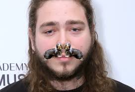 Once You Realize That Post Malone S Mustache Looks Like Two Dogs Kissing You Ll Never Unsee It