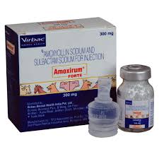 Being one of the most popular forms of antibiotic related to penicillin, it's likely that we've all been the standard dosage of amoxicillin for dogs is 5 mg for every pound your dog weighs administered every 12 hours, or 10 mg every 24 hours. Amoxirum Forte Amoxicillin Sulbactam Combines Inj Antibiotic