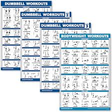 Maybe you would like to learn more about one of these? Buy Palace Learning 4 Pack Dumbbell Workout Posters Volume 1 2 3 Bodyweight Exercise Chart Set Of 4 Posters Online In Vietnam B0912xlyzf