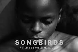 Young Director Award 2025 Winners