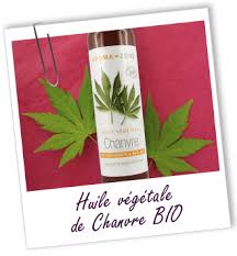 Huile Vegetale Chanvre Bio Aroma Zone Sensible A L Oxydation Conservation 6 A 8 Mois Au Frigo Apres L Ouverture Huile Vegetale Huile De Chanvre Bio Huile