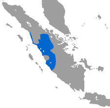 Makna denotasi adalah makna harifah yang sebenarnya dari suatu kata. Bahasa Minangkabau Wikipedia Bahasa Indonesia Ensiklopedia Bebas