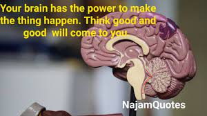 Brain Power Quote Good Morning Quotes Powerful Quotes Quotes