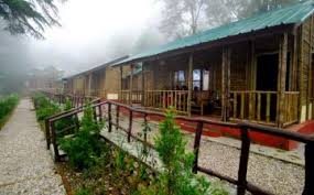 Hello, can you suggest a suitable itinerary for dehradun mussoorie nag tibba and danaulti, return to haridwar. Dhanaulti Go Off The Beaten Track Dhanaulti Trip Package For 1 Night 2 Days Inr 6999 00
