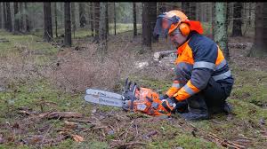 Husqvarna 455 rancher is one of the top choices for landowners who need heavy duty chainsaw with lots of power. Comparison Husqvarna 550xp Mk Ii Vs Ms 261 From Stihl Forestry Com