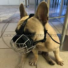 You'll receive email and feed alerts when new items arrive. Best French Bulldog Muzzle Uk French Bulldog Basket Muzzle 32 20