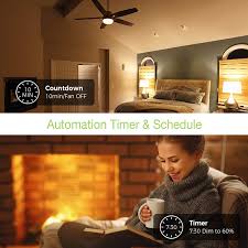 Dimmer switches can be used with ceiling fans. Buy Smart Ceiling Fan Control And Light Dimmer Switch Combo Tessan Wifi Wall Switch For 4 Speed Fan Control Dimmable Light Work With Alexa Google Assistant Neutral Wire Required Online In Germany