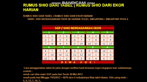Ekor Hk 100 Jitu Kunci Prediksi