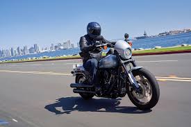 I wish i had your artistic ability, the flames. New Harley Davidson Models For 2020 Rider Magazine