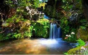 Desktop Animated Screensavers Free Download Free Animated Screensaver Waterfall Wallpaper Waterfall Screen Savers Wallpapers