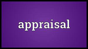 Thorough appraisal of the goods should be done before purchasing. Appraisal Meaning Youtube