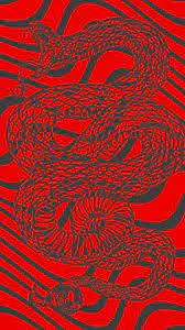 Red Snake Wallpaper Snake Wallpaper Trippy Wallpaper Trippy Wall