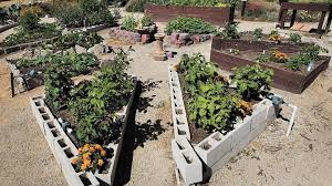 How to make a raised garden with cinder blocks. 17 Creative Cinder Block Outdoor Ideas Designs For 2021