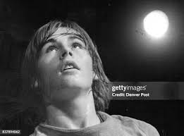 535 Pack Of Wolves Stock Photos, High-Res Pictures, and Images