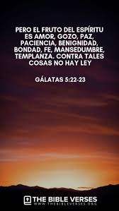 70 Versiculos De La Biblia Sobre El Amor En 2020 Versiculos Biblicos Citas Sobre Dios Frases Cristianas