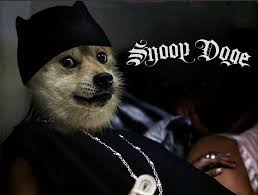 Video is return of the doge by zimonitrome. Dogecoin Smokes Its All Time High After Snoop Dogg Becomes Snoop Doge Coindesk