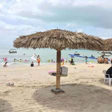 Maybe you would like to learn more about one of these? Durable Beach Umbrella Synthetic Thatch Umbrella Buy Thatch Umbrella Synthetic Thatch Beach Umbrella Product On Alibaba Com