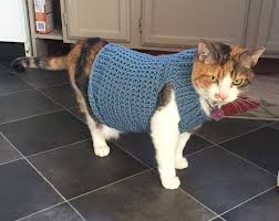 Cat Sweater Pattern Cat Clothes Pattern Crochet Pattern Pet Clothes Pattern Cat Coat Pattern Crochet Cat Sweater Evcil Hayvan Kiyafetleri Evcil Hayvan Aksesuarlari Ve Evcil Hayvanlar