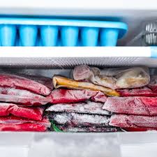 My refrigerator freezer door was left open overnight. Cleaning A Smelly Freezer Thriftyfun