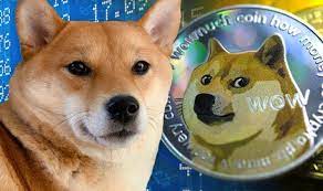 During the whole time of shiba inu monitoring, 14 events were added past shiba inu events exchanges. Shiba Inu Coin Analyst Warns New Doge Token Won T Beat Dogecoin No Real Purpose City Business Finance Samachar Central