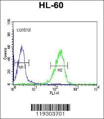 Supplied as a liquid in pbs, ph 7.2. Fkbp11 Search Results Mybiosource