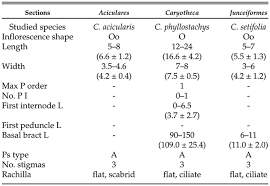 Image result for Schoenoxiphium
