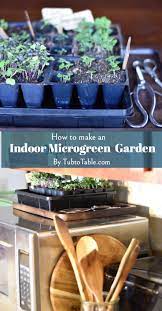How To Make An Indoor Microgreen Garden Herb Garden In Kitchen Indoor Herb Planter Herbs Indoors