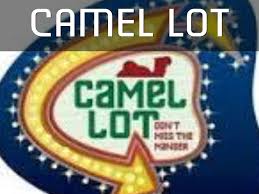 Humans introduce animals into fragile ecosystems. Camel Lot By Roger Mccarty