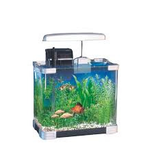 Harga pasir laut untuk aquarium laut / livesand / live sand 1 kiloan / kg. Hrk 500 Kaca Akuarium Mini Dengan Lampu Tahan Air Mini Underwater Aquarium Ikan Tank Warna Led Light Dengan Suction Cup Buy Mini Aquarium Dengan Cahaya Tahan Air Mini Underwater Aquarium Ikan Tank Warna