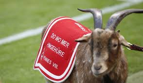 Februar 1950 vom circus williams geschenkt bekam und der den. Sport Witness On Twitter Fc Koln Goat Mascot Hennes Is Under Police Protection After Fears Grew Of A Planned Attack From Monchengladbach Fans Http T Co Semovp6yro