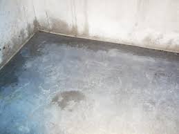 Caught in the throes of hormones and passions, two girls will do anything to lie supine in a bathtub together while a guy in a basement watching them on the television makes hoarse wheezing sounds. How To Control Moisture In Basement Wet Basement Damp Basement Basement Flooring