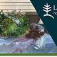 Hands-On Winter Container Potting Class - Morning event in Des Plaines, IL