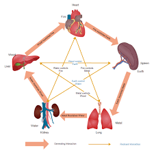 diagrams about tcm