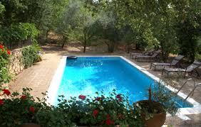 The Pool At Cabanon Chadwick Garde De Freinet Surrounded By An Olive Grove Pool Outdoor Cote D Azur
