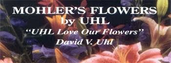 For your dog, find everything from dog tags and collars. About Us Mohler S Flowers By Uhl Lima Oh