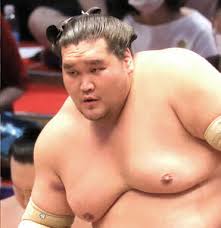 May 23, 2021 · 照ノ富士は千秋楽の本割の大関貴景勝戦で敗れて12勝3敗になったが、相星の貴景勝との優勝決定戦を制した。 さらなる高みへ、ガントゥクスさん. Illw3mjturuhum