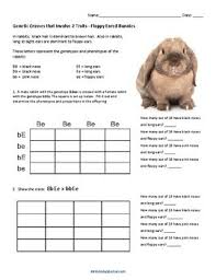 Chapter 10 dihybrid cross worksheet answer key. What Are Genetic Crosses