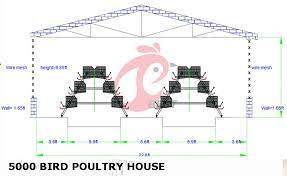 Poultry House Design Of 5000 Layer With Chicken Cage Chicken Cages Poultry House Poultry Farm Design