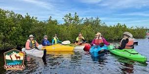 Birding while Boating Paddle