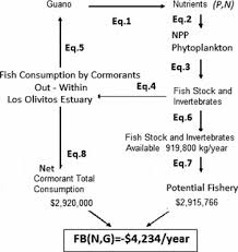 Ecological functions and economic value of the Neotropic Cormorant  (Phalacrocorax brasilianus) in Los Olivitos Estuary, Venezuela