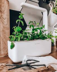 To do this, our click and grow review will look into how effective the device is and if it's worth your money, especially the smart garden 3. Indoor Herb Gardens And Indoor Gardening Kits Click Grow