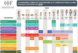 Información oficial sobre la vacunación contra el nuevo coronavirus. Ministerio De Sanidad Consumo Y Bienestar Social Profesionales Salud Publica Prevencion De La Salud Vacunaciones Programa Vacunacion Portada