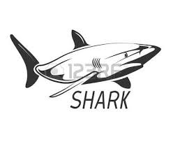 Black And White Cute Black And White Shark Clipart Great White Shark Shark Icon In Black Isolated On White Graphic Design Wild Animal Vector Illustration Animal Drawings Shark Drawing Drawings