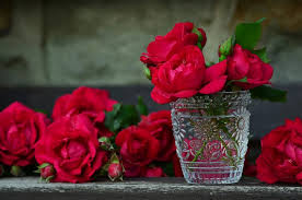 Most beautiful flowers in the world pictures. Top 5 Most Beautiful Flowers In The World