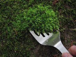 Pin On Gardening Farming