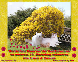 (04.12) and since i have some random keys lying around from one of these. Burzeltag Von Flockchen Und Kilavuz 2016 2017 2018 Paulchen1s Jimdo Page