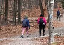 National Trails Day Family Friendly Stewardship Hike