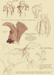 Diversity in the organization of elastin bundles and intramembranous muscles in bat wings jorn a. Helpful Harrie This Is A Spiritual Sequel To Thoughts On Wings By
